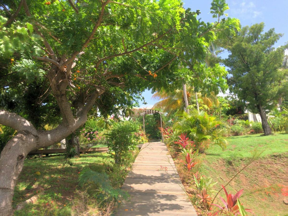 Residence Paradis Tropical Basse-Terre Exterior foto