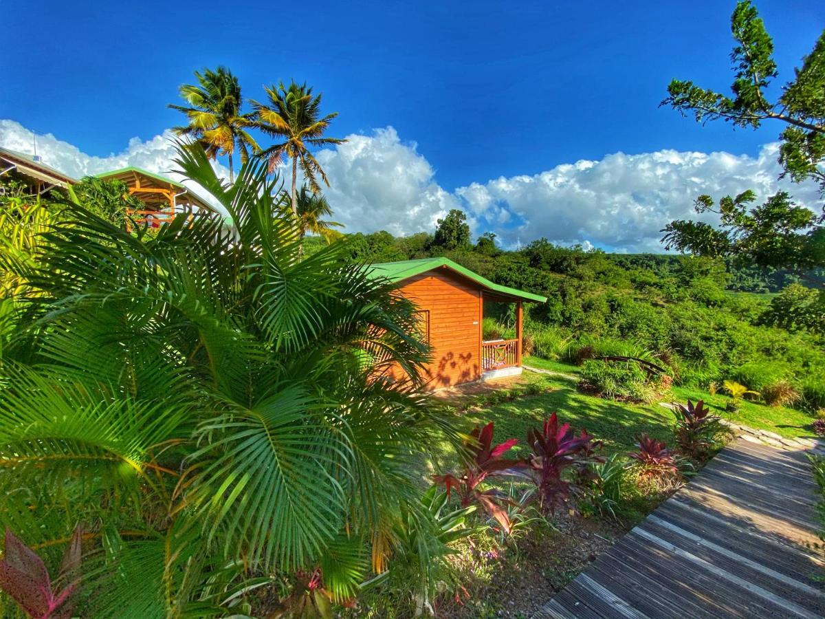 Residence Paradis Tropical Basse-Terre Exterior foto